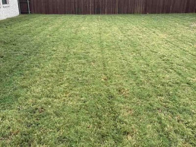 Lawn Care service in Waxahachie, 75165