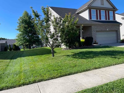 Lawn Care service in Fairborn, 45324