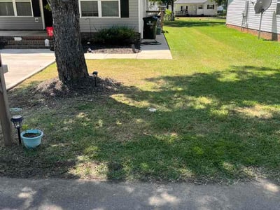 Lawn Care service in Rock Hill, 29730