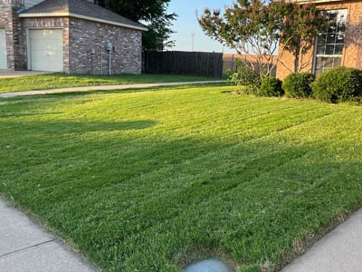 Lawn Care service in Sanger, 76266