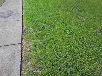 Lawn Care service in Sanger, 76266