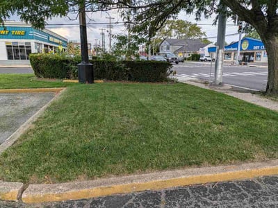 Lawn Care service in Rockville Centre, 11570