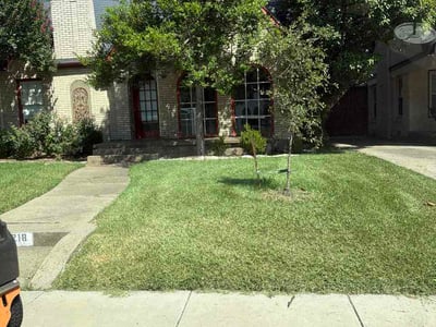 Lawn Care service in Midlothian, 76065