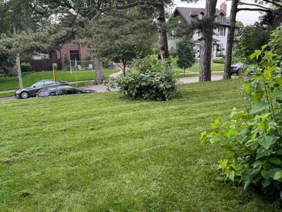 Lawn Care service in Whitestone, 11357