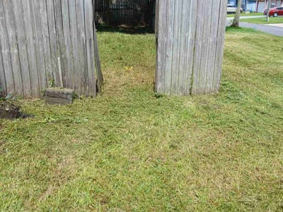 Lawn Care service in Whitestone, 11357