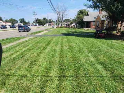 Lawn Care service in Lebanon, 45036
