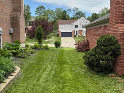 Lawn Care service in Independence, 41051