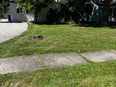 Lawn Care service in North Olmsted, 44070