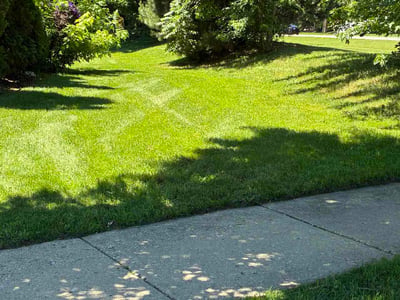 Lawn Care service in Roselle, 60172