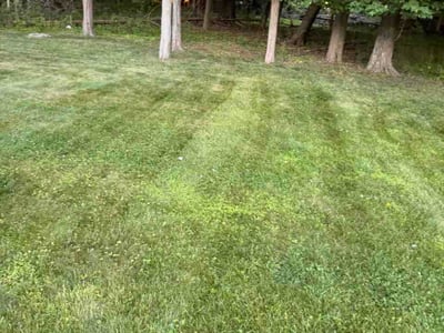 Lawn Care service in Paterson, 07505