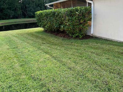 Lawn Care service in Paterson, 07505