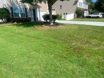 Lawn Care service in Fort Mill, 29715