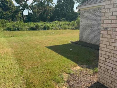 Lawn Care service in Prattville, 36067