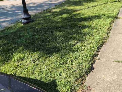 Lawn Care service in Glen Ellyn, 60137