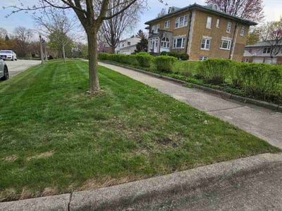 Lawn Care service in Glen Ellyn, 60137