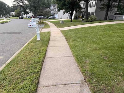 Lawn Care service in Medford, 08055