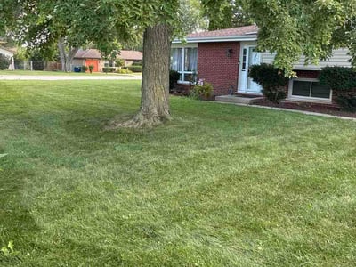 Lawn Care service in Bartlett, 60103