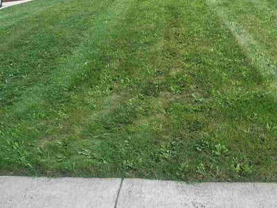 Lawn Care service in Bartlett, 60103