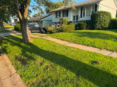 Lawn Care service in Park Ridge, 60068