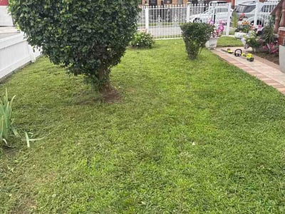 Lawn Care service in Bronx, 10462
