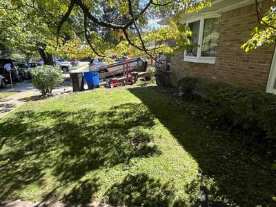 Lawn Care service in Bronx, 10462