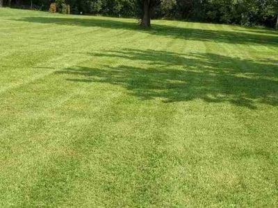 Lawn Care service in Mount Holly, 08060
