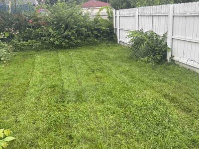 Lawn Care service in Park Forest, 60466