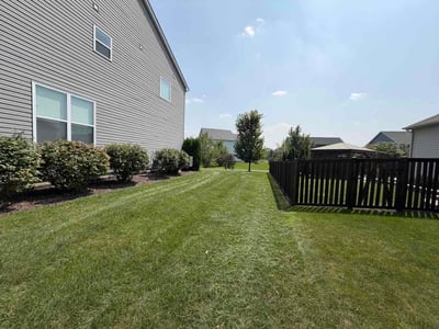 Lawn Care service in Park Forest, 60466