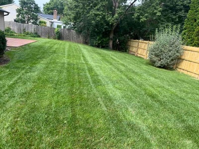 Lawn Care service in Palatine, 60074