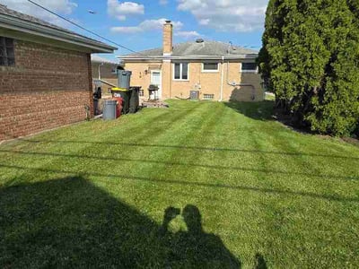 Lawn Care service in Palatine, 60074
