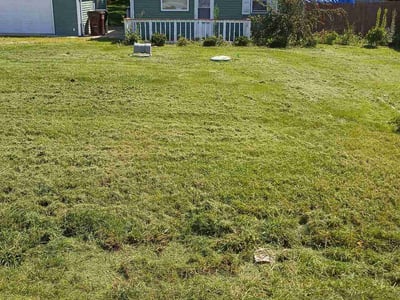 Lawn Care service in Lombard, 60148