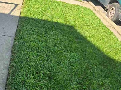 Lawn Care service in Palatine, 60074