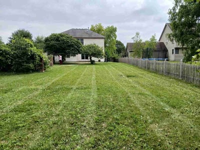 Lawn Care service in Palatine, 60074