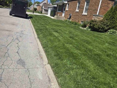 Lawn Care service in Calumet City, 60409