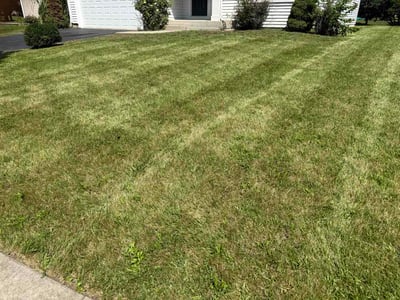 Lawn Care service in Crystal Lake, 60014