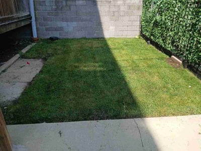 Lawn Care service in Crystal Lake, 60014