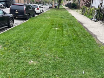 Lawn Care service in Westchester, 60154