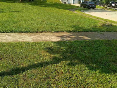 Lawn Care service in Westchester, 60154