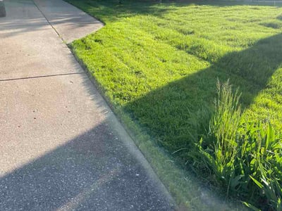 Lawn Care service in Oak Forest, 60452