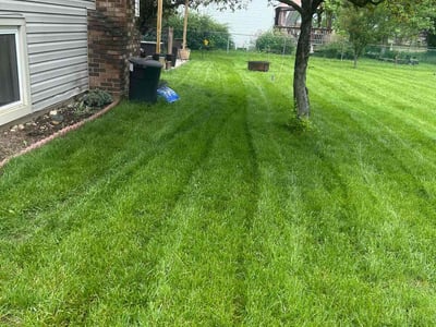 Lawn Care service in Newark, 43055