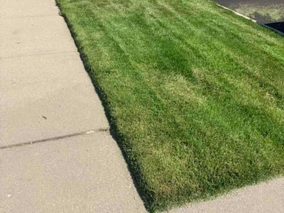 Lawn Care service in Montgomery, 60538