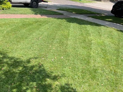 Lawn Care service in Wilmette, 60091