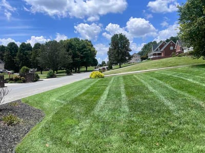 Lawn Care service in Bristol, 37620