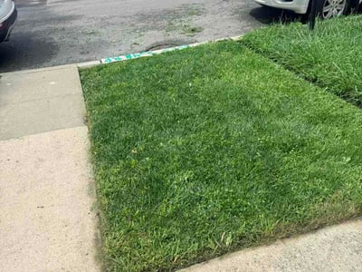 Lawn Care service in Carol Stream, 60188