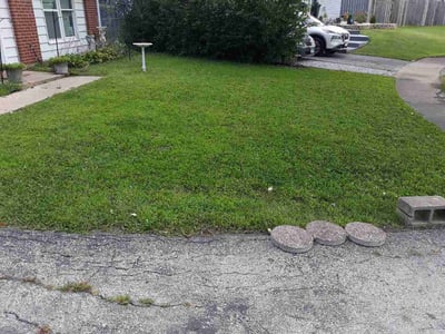 Lawn Care service in Country Club Hills, 60478