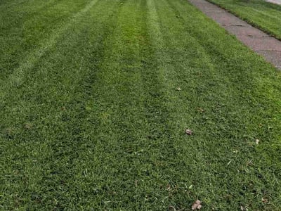 Lawn Care service in Country Club Hills, 60478