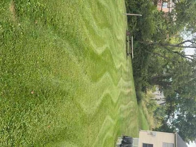 Lawn Care service in Erlanger, 41018