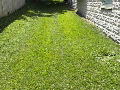 Lawn Care service in Blackwood, 08012