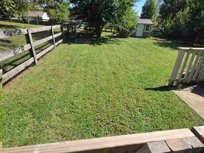 Lawn Care service in Erlanger, 41018