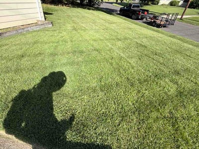 Lawn Care service in Gloucester City, 08030
